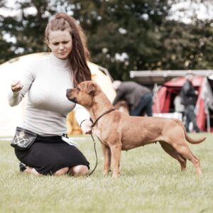 Dog Workout & Rehab