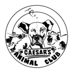 Caesar’s Animal Club eV