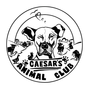 Caesar's Animal Club eV