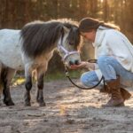 Mensch durch Pferd – Coaching und Therapie mit Pferden