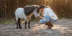 Mensch durch Pferd - Coaching und Therapie mit Pferden