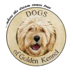 Dogs of Golden Kennel
