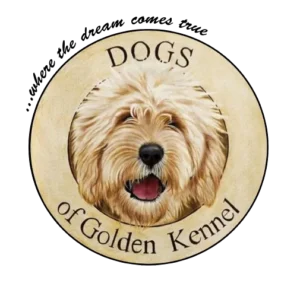 Dogs of Golden Kennel