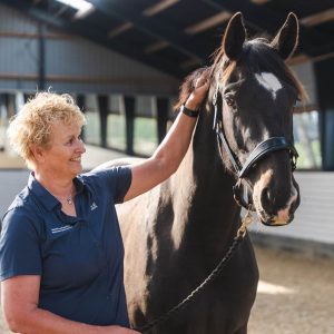 EquiMove v/Marianne Dahl-Jensen