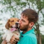 SOS PET – Dein Vierbeiner bestens versichert