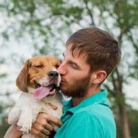 SOS PET - Dein Vierbeiner bestens versichert