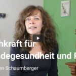 Hundefriseur Ausbildung – Lebensglück für Mensch und Hund