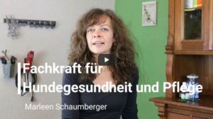 Hundefriseur Ausbildung - Lebensglück für Mensch und Hund