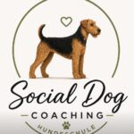 Social Dog Coaching – Vulkaneifel