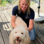 Tiertherapie Schweizer