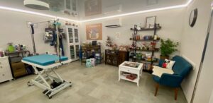 Hundesalon / Hundefriseur Krauseschnauzen