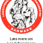 Sønderborg Hundesalon