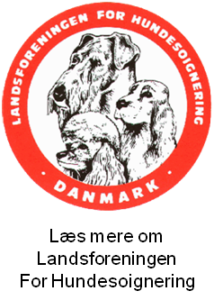 Sønderborg Hundesalon