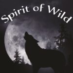 Spirit of Wild – das Hundefutter
