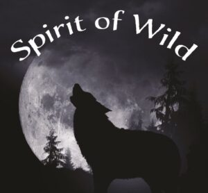 Spirit of Wild - das Hundefutter