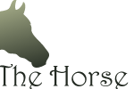 The Horse Farm