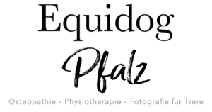 Equidog-Pfalz