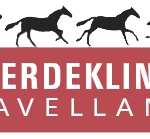 Pferdeklinik Havelland | Dres. med. vet. Dirk Barnewitz, Kay Hahn und Bernd Kinter