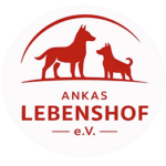 Ankas Lebenshof e.V. in Lüttgenziatz