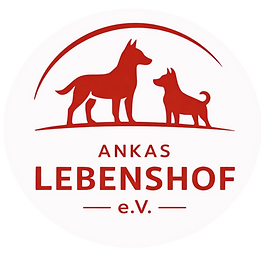 Ankas Lebenshof e.V. in Lüttgenziatz