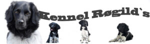 Kennel Røgild´s