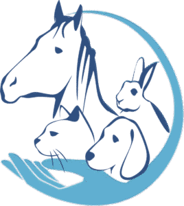 tierisch gut therapiert - Maike Thomsen