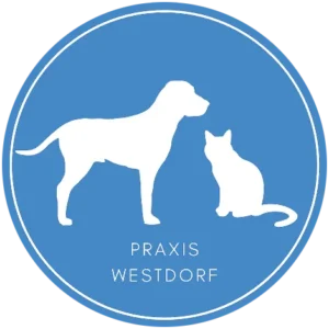 Kleintierpraxis Dr. med. Vet. Jürgen Krügel