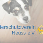 Tierschutzverein Neuss e. V.