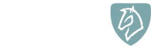 Nordic Horse