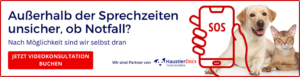 Tierarztpraxis Dr. Jessica Sieg -Fachtierärztin für Kleintiere