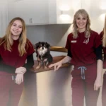 Hundeklinikken