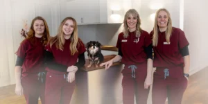 Hundeklinikken