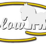 Pferdehof Zislow