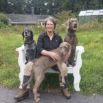 Jagdhundetraining Christiane Haake