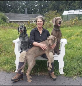 Jagdhundetraining Christiane Haake
