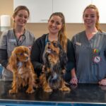 Dyreværnets Dyreklinik