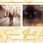 Tierfotografie Susanne Elendt