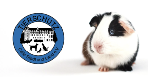 Tierschutz Celle