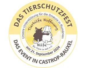 4animals!e.V. Hundeauffangstation "HASt"