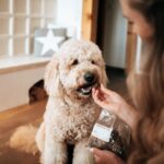 Pets Best GmbH