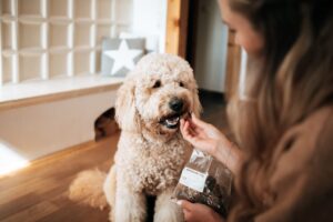 Pets Best GmbH