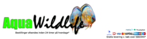 Aquawildlife