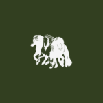 Riding Menzingerstraße – Iceland horses Hammersdorf