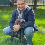 TeamPets | animals delivery | Międzynarodowy przewóz zwierząt domowych