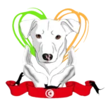 Animal Rescue Tunisia e.V.