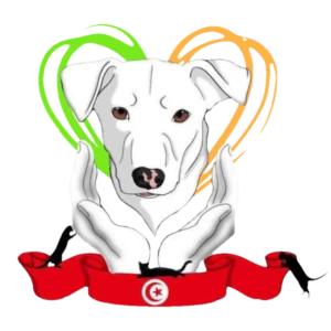 Animal Rescue Tunisia e.V.