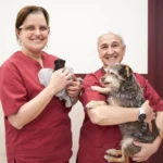 Bremen Veterinària