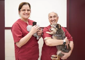 Bremen Veterinària