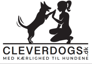 CleverDogs