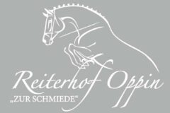 Reiterhof Oppin Zur Schmiede